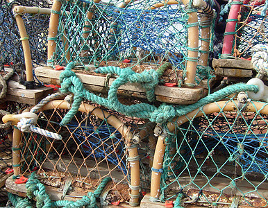 龙虾锅甲壳类齿轮贝类绳索钓鱼工业动物港口图片