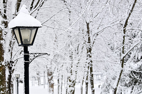 冬季公园植物小路城市暴风雪途径分支机构风景降雪树木场景图片