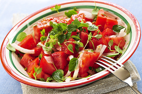 番茄沙拉生产蔬菜花园服务食物红色草本植物草药洋葱午餐图片