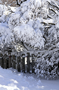 冬季房屋围栏图片