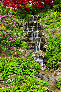 连带瀑布绿化花园石头树木美化园艺池塘放松风景岩石图片