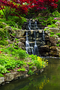 连带瀑布和池塘岩石植物风景花朵绿化反射园林树木公园石头图片