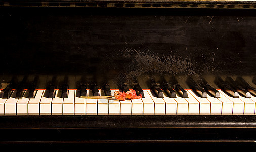 带干玫瑰的旧钢琴钥匙水平粉色热情乐器植物群白色木头键盘象牙图片