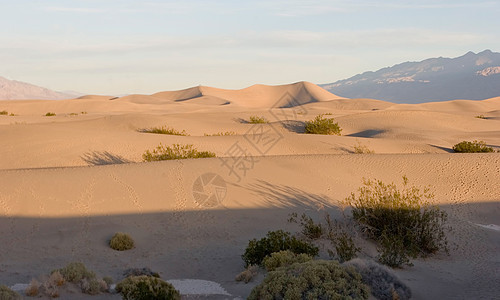 排水管桶干旱水井瘦腿气候国家温度环境沙丘阴影涟漪图片