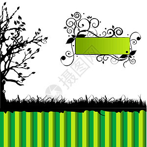 树背 绿色背景叶子森林框架漩涡衬套树干生长植物草地季节图片