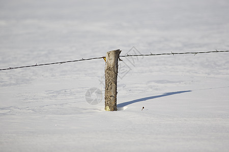 雪中静态压实电线栅栏背景图片