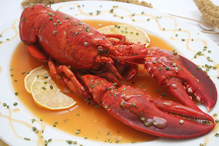 a 龙虾食物贝类餐厅海鲜午餐背景图片