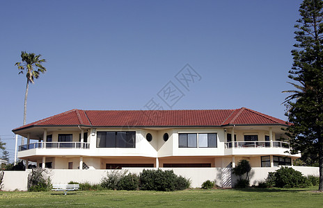 豪宅天空棕榈建筑学建筑蓝色生活别墅阳光大厦财产图片