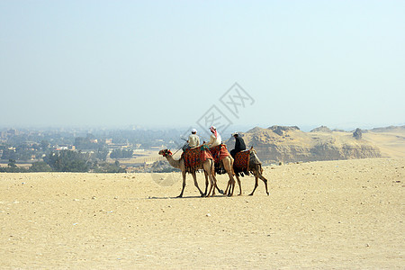 阿拉伯男子在沙漠中骑骆驼图片