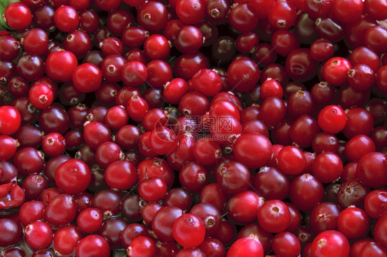 草莓营养浆果厨房甜点活力水果图片