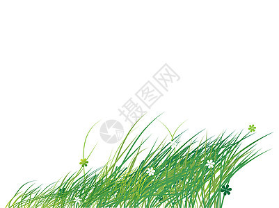 绿草周绿色 夏季背景生活季节森林艺术草地绘画植物学痕迹框架场地图片