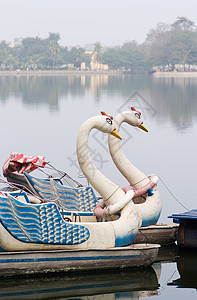 河内天鹅踏板船闲暇河湾公园旅行旅游池塘城市图片