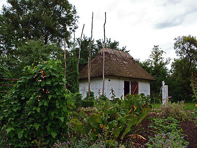 小型农房 屋顶有干草稻草图片