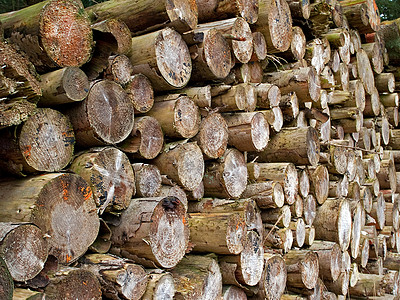 重木材原木堆硬木日志加热材料植物商业树干资源老化树木图片