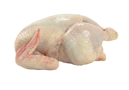 全生鸡食物农场家禽白色市场农业翅膀杂货店餐厅皮肤图片