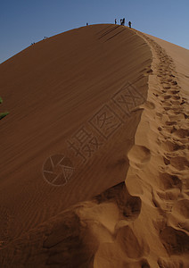 沙丘行走者背景图片