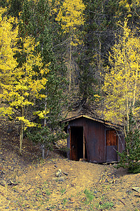 秋季森林的矿山小屋图片