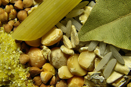 湿热玉米香料食物种子农业图片