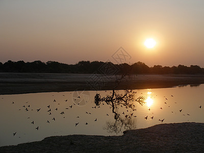 赞比亚日落太阳反射全景图片