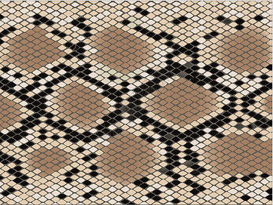 Lozenge 蛇型蛇皮捕食者动物群白色隐藏情调菱形异国黑色鳞片状纺织品图片