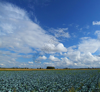 美丽的云云和蓝天空农场天气国家天空蓝色多云农业晴天农村场地图片