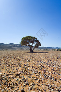 沙漠地区太阳石头天空黄色蓝色背景图片