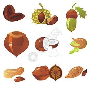 坚果椰子食物小吃绘画可可豆子杏仁咖啡榛子甜品图片