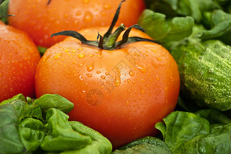 闭合番茄宏观蔬菜营养美食食物绿色西红柿红色叶子小吃图片