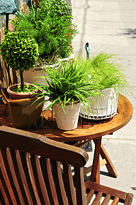 改良绿色植物爱好播种机黏土花园集装箱装饰家具椅子露台桌子图片