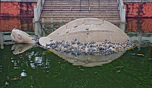 海龟雕像图片