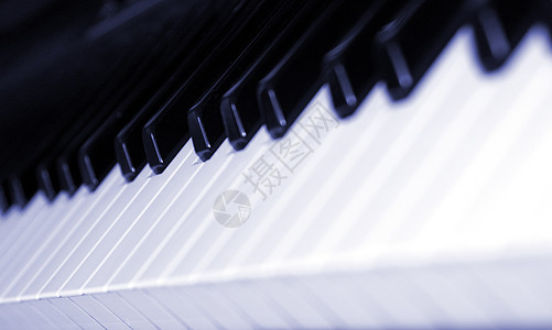 钢琴学习键盘黑色音乐娱乐音乐会教育学习白色乐器笔记钥匙背景