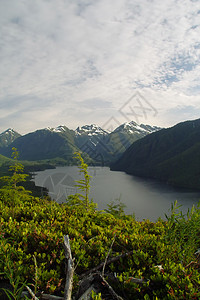 尼普吉斯山谷夜空山脉美女野生动物bc图片