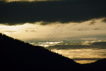 尼普吉斯山谷野生动物夜空bc山脉图片