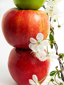 苹果和鲜花花瓣蔬菜枝条食物水果橙子生活宏观季节美食图片
