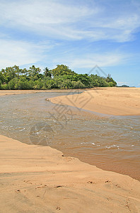 Machans海滩绿色蓝色海洋热带树木风景叶子天空晴天图片