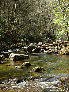 农村小溪自然森林晴天流动岩石风景溪流石头旅行绿色图片