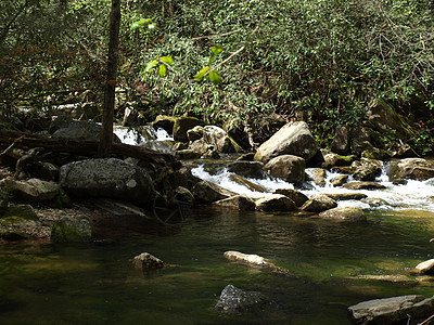 北卡罗来纳河森林晴天石头自然环境乡村溪流岩石绿色旅行图片