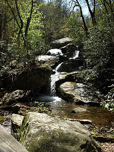 流动的溪流岩石石头森林自然风景绿色环境晴天旅行图片