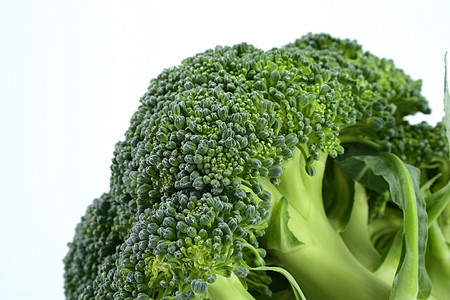 白色上隔离的新鲜绿色蔬菜 宏观与二氧化碳密闭图片