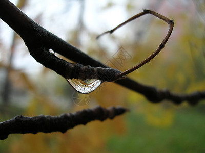 水下滴水液体背景图片