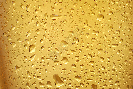啤酒酒吧液体金子琥珀色啤酒厂娱乐派对玻璃酒馆饮料图片
