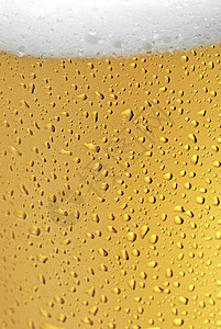 啤酒饮料娱乐气泡金子泡沫生活酒吧琥珀色酒馆派对图片