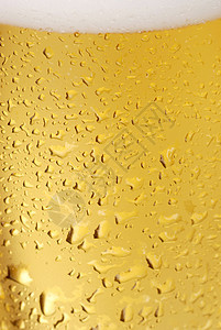 啤酒金子玻璃饮料泡沫娱乐琥珀色酿造生活酒馆派对图片