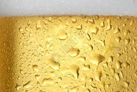 啤酒派对生活饮料琥珀色玻璃气泡液体酒馆酿造泡沫图片