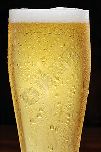啤酒金子娱乐酒馆酒吧液体饮料玻璃啤酒厂气泡酿造图片