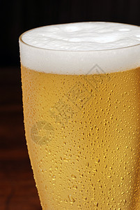 啤酒饮料金子酿造液体啤酒厂娱乐生活气泡琥珀色酒馆图片