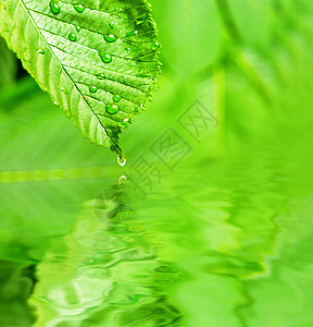 雨床单生活波动镜子天气气泡雨滴植物海浪宏观图片