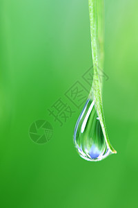 大水滴刀刃植物草地树叶环境阳光液体雨滴生长宏观图片