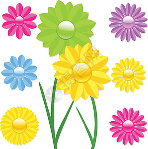 Daisy 花朵矢量插图背景图片
