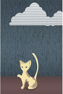 雨中的猫图片